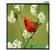 Экраны LUMIEN LUMIEN Master Picture LMP-100129 (220*220) 1:1, черная кайма по периметру