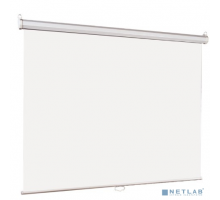 Экраны LUMIEN Lumien Eco Picture LEP-100119 Настенный экран  187х280см (рабочая область 153х272 см) Matte White, верх.кайма 30 см, прямоуголный корпус, возможность потолочн./настенного крепления, уровень в компле