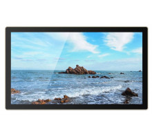 Профессиональный дисплей Goodview 27