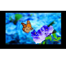 Интерактивный дисплей Nec MultiSync UN552VS 55