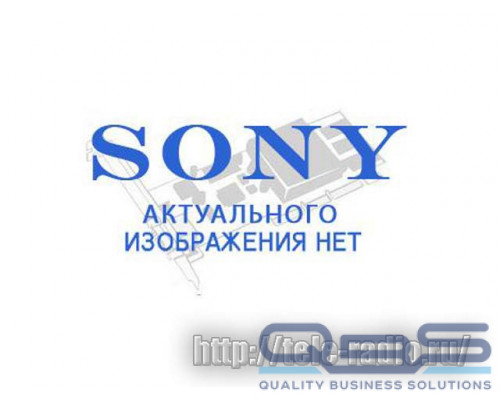 Sony PWA-MGW1B