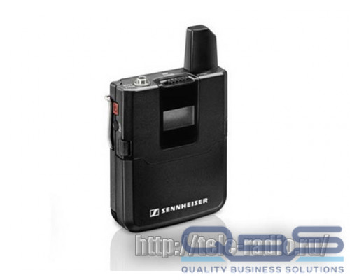 Sennheiser SK AVX-3