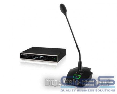 Sennheiser SL TS 133 GN SET DW-3 EU