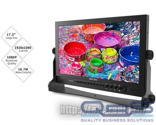 Режиссёрский монитор Seetec P173-9DSW