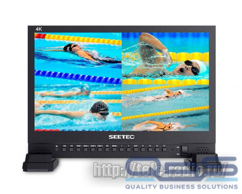 Seetec 4K156-9HSD