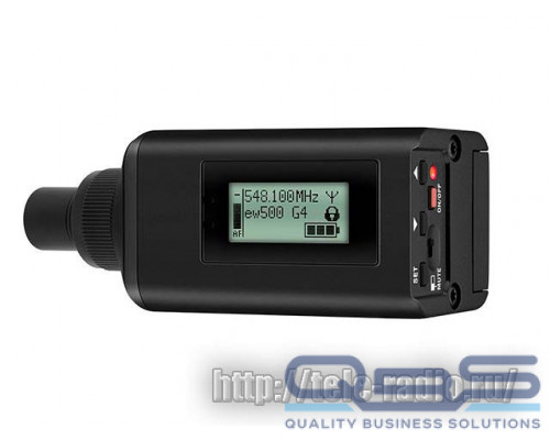 Sennheiser SKP 500 G4-AW+