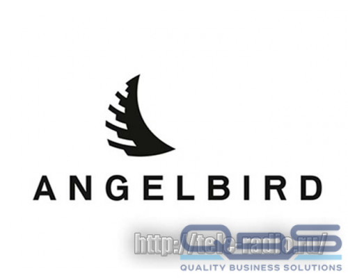 Angelbird AVP256SDX2