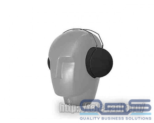 Neumann WSB
