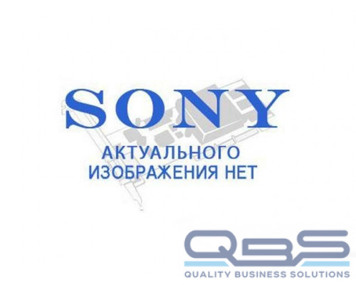 Sony PWA-MGW1