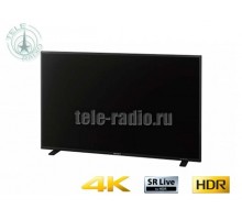 Sony PVM-X550