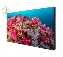 EliteBoard SK495FCLN