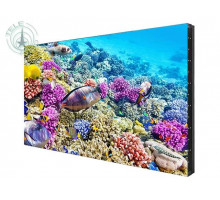 EliteBoard SK555FCLN