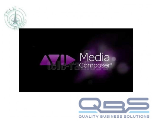 Avid Media Composer Video Satellite Option