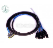 Avid DB25-XLRF Digisnake 12'