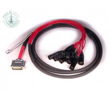 Avid DB25-XLRM DigiSnake 4'