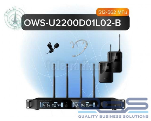 Двухканальная радиосистема Октава OWSU2200D01L02-B