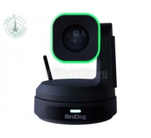 BirdDog - X1 Black камера PTZ
