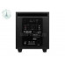 Adam Professional Audio T10S
