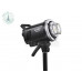 Godox MS300V-D