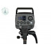 Godox MS300V-D