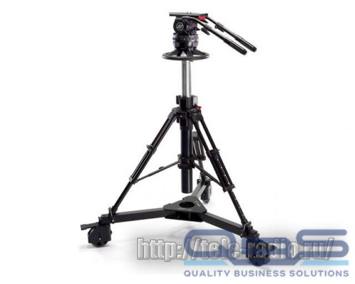Sachtler System 25 C III