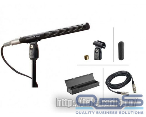 Audio-Technica BP4029