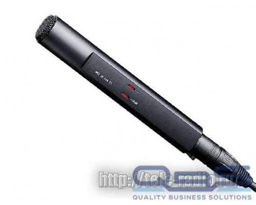 Sennheiser MKH 20-P48