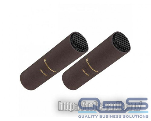 Sennheiser MKH 8020