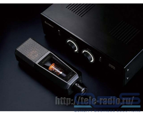 Lewitt LCT 940