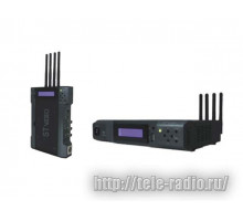 ST VIDEO STW1000
