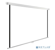 Экраны Cactus Экран Cactus WallExpert CS-PSWE-220x220-WT 220x220 см 1:1 настенно-потолочный рулонный